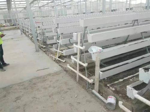 hydroponics grow systems